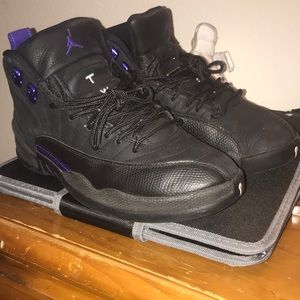 Retro Concorde 12s Jordans
